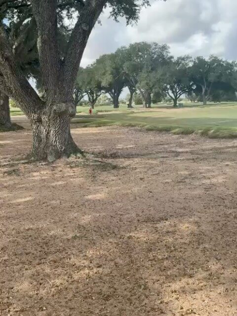 Instagram post from alaina.villarreal_htx_golfer. This post is in position 1.