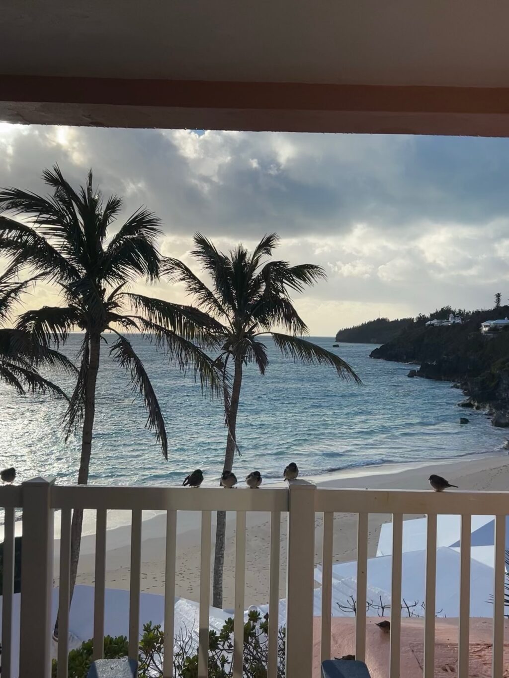 Instagram post from alaina.villarreal_htx_golfer. This post is in position 8.